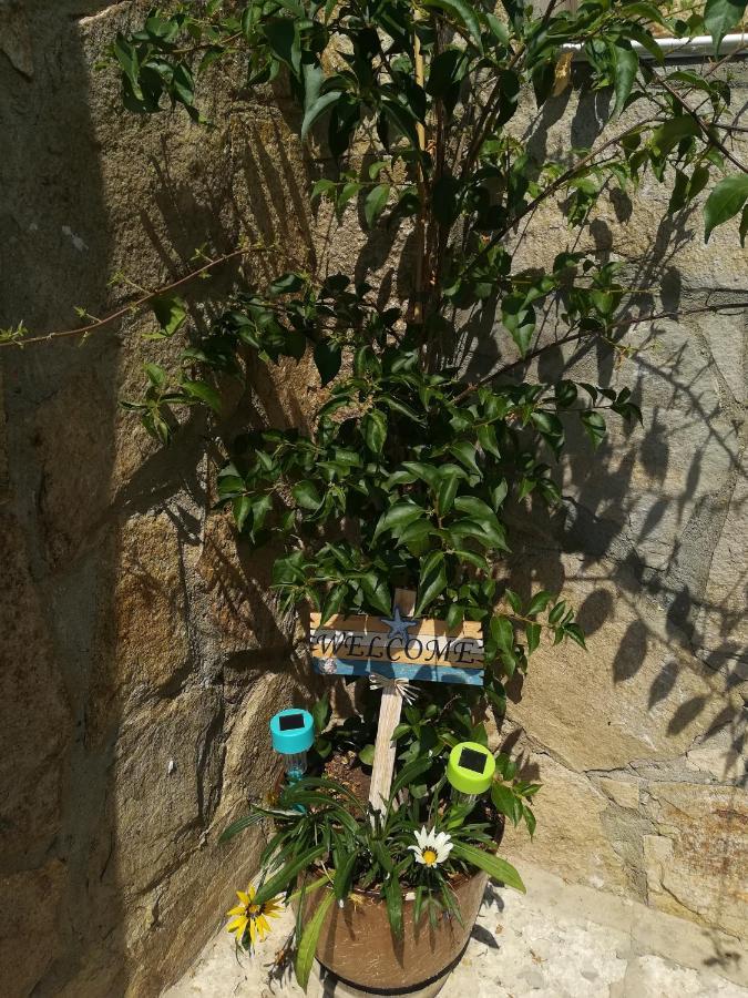Villa Holly Balçık Dış mekan fotoğraf